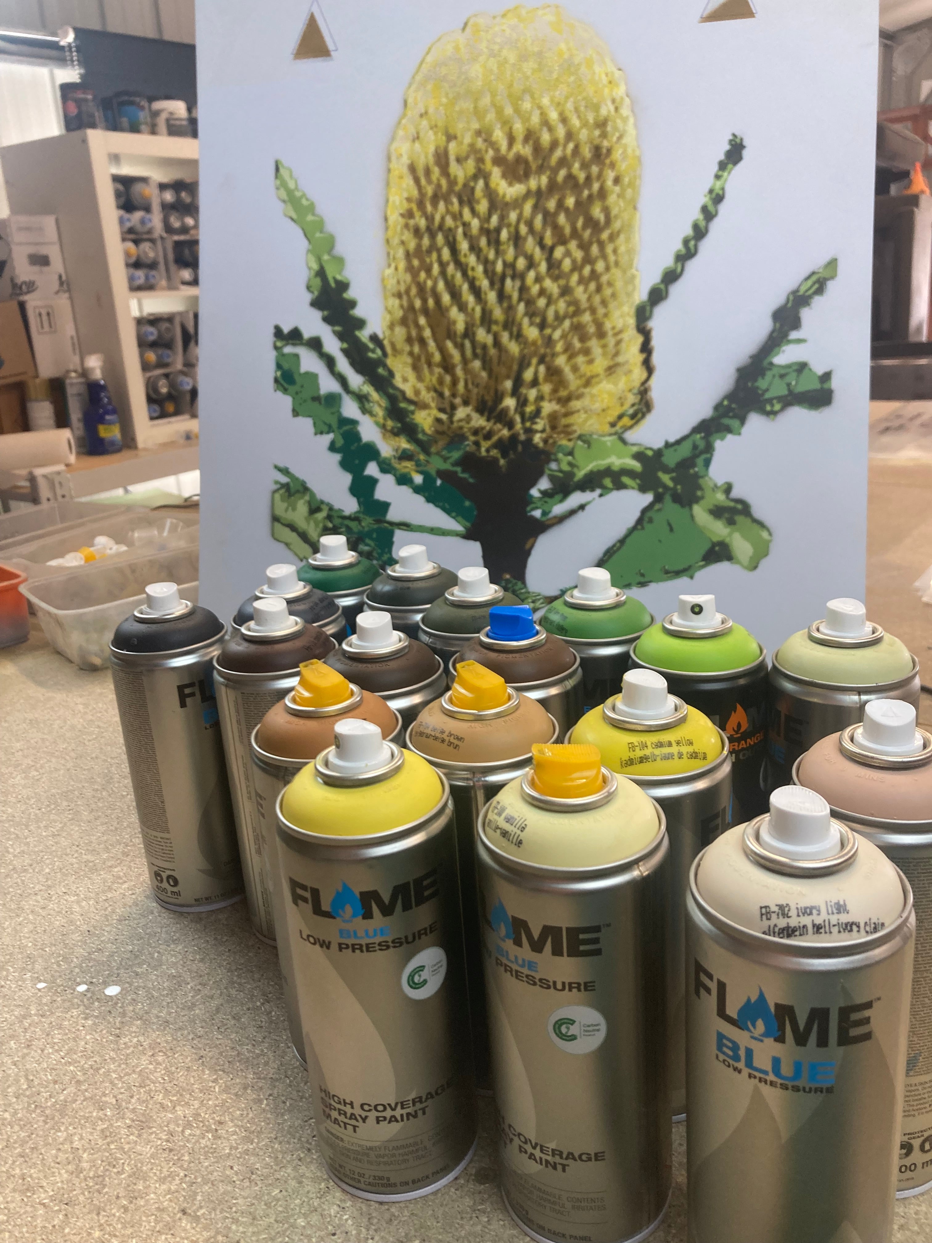 Banksia - Stencil Botanica