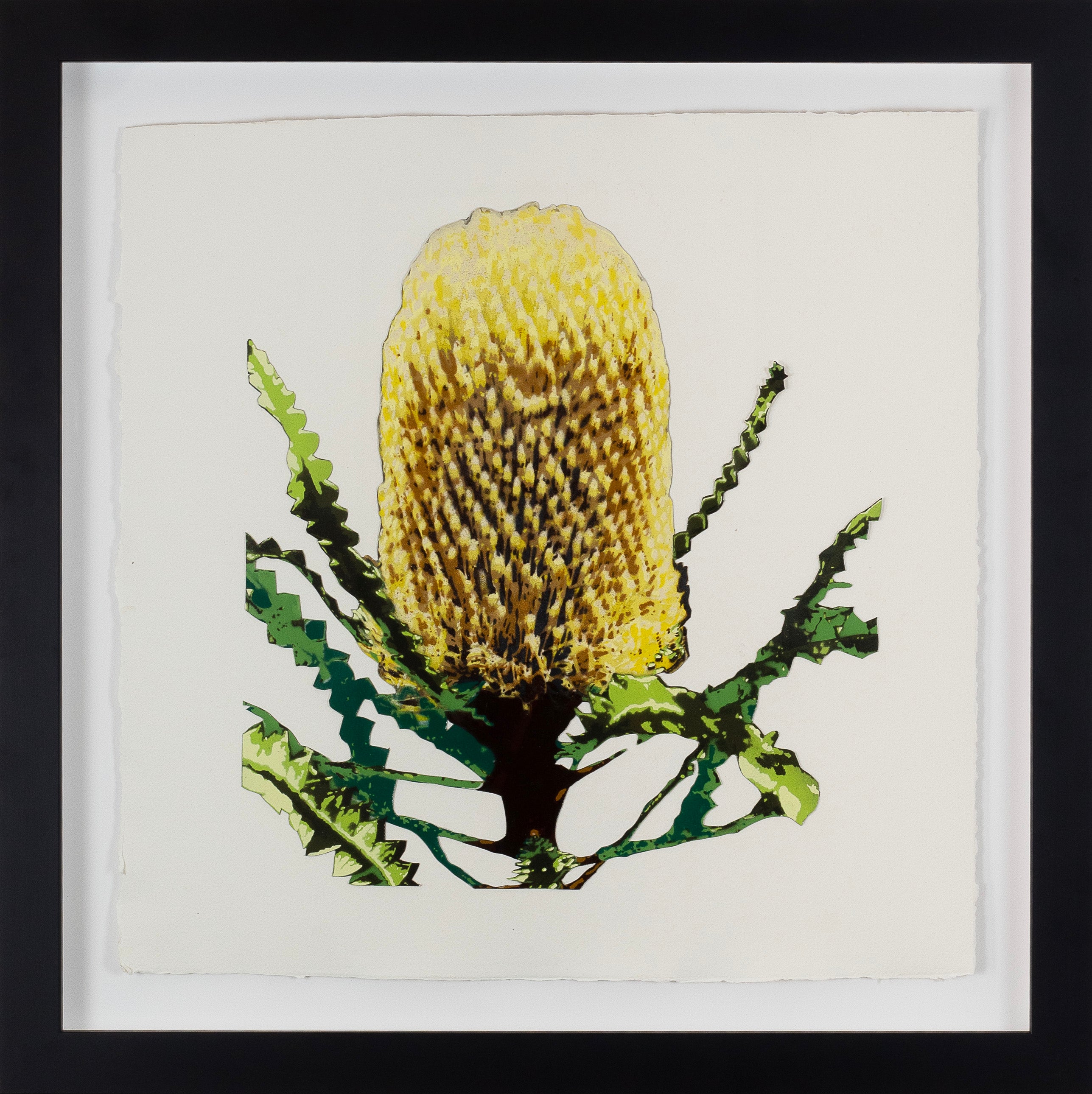Banksia - Stencil Botanica