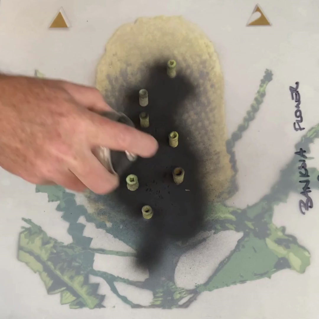 Banksia - Stencil Botanica