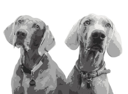 Pet Stencil Portraits