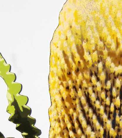 Banksia - Stencil Botanica