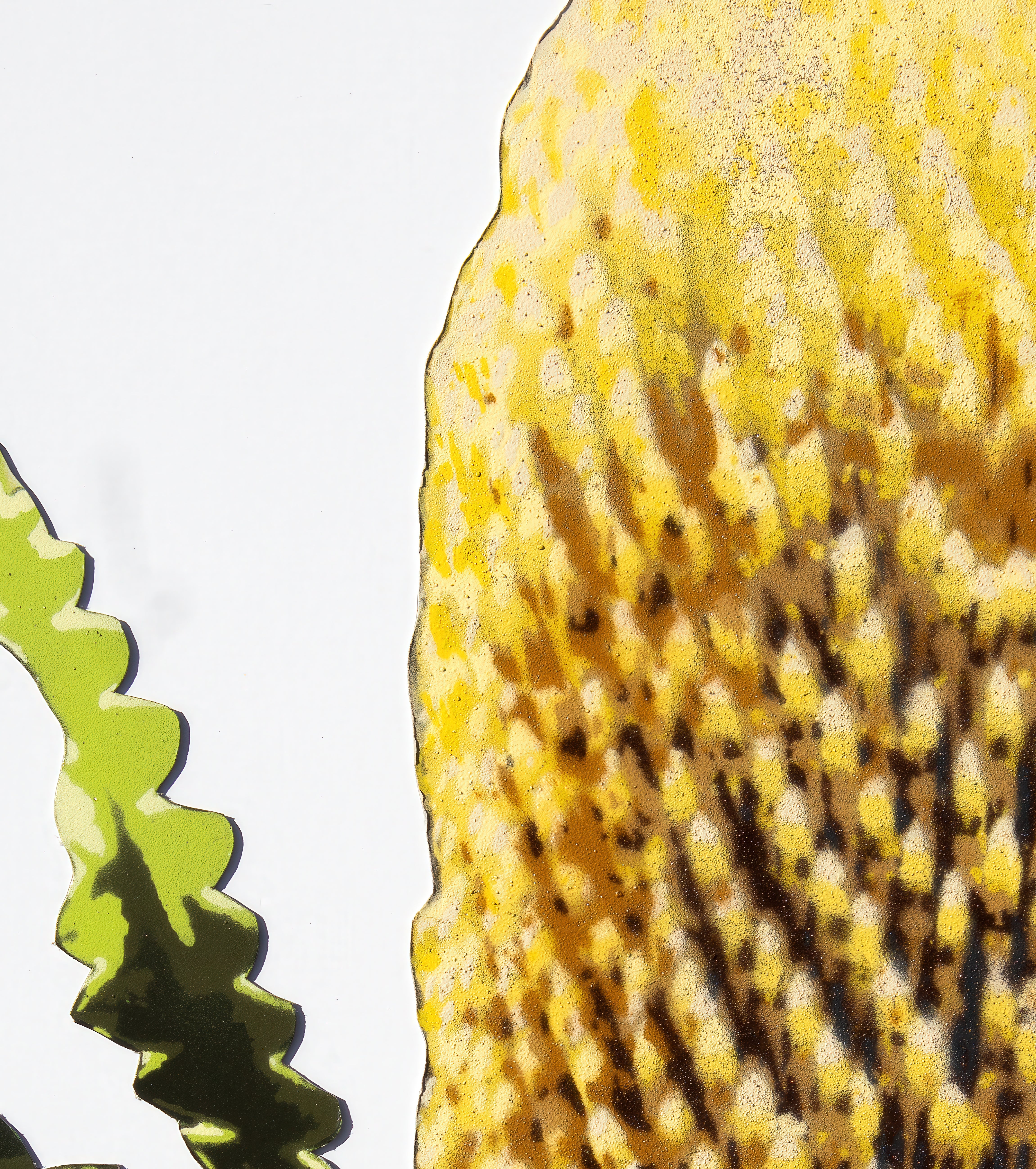 Banksia - Stencil Botanica